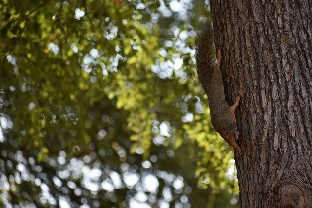 何在实力强 何在实力强