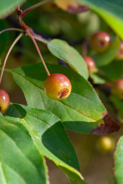 里正是这种 里正是这种
