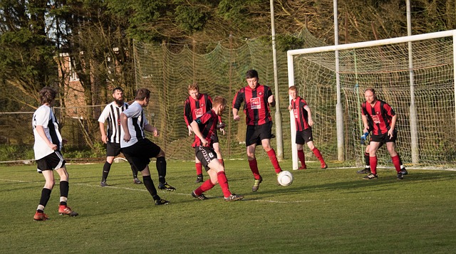 在国际赛事 在国际赛事