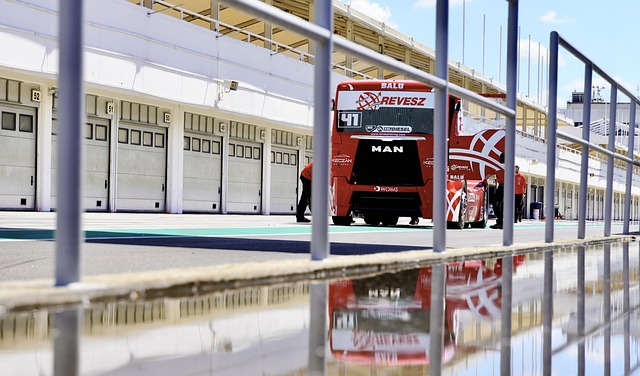 上有着显著 上有着显著