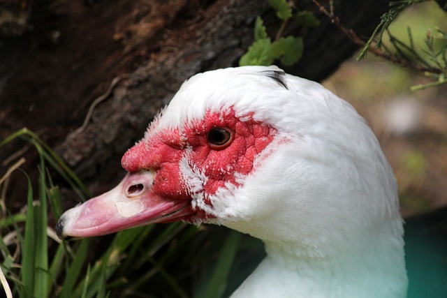 展路径背后 展路径背后