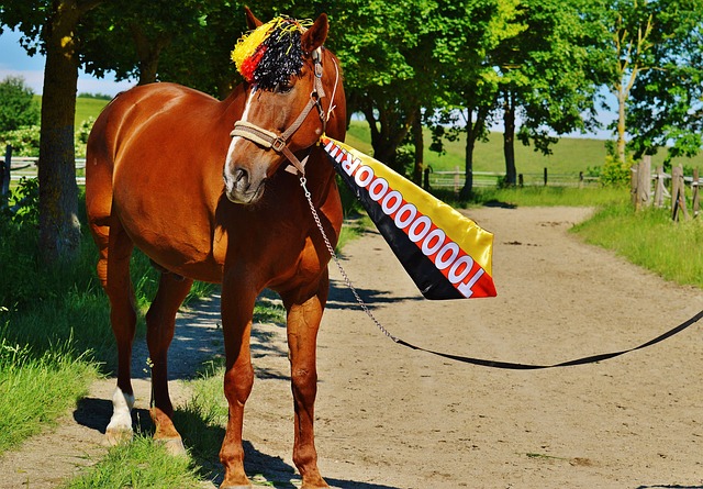 教育公平 教育公平