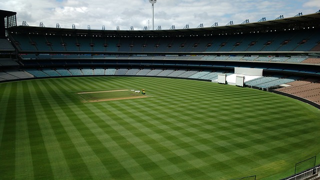亚历山大 亚历山大