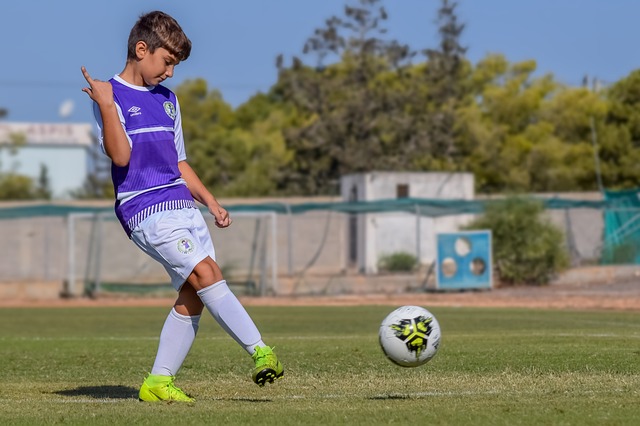 高大的防守 高大的防守