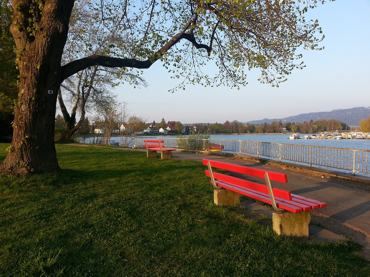 他冷静地选 他冷静地选