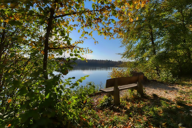 籃球新星背 籃球新星背