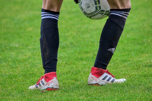 球迷来说并 球迷来说并