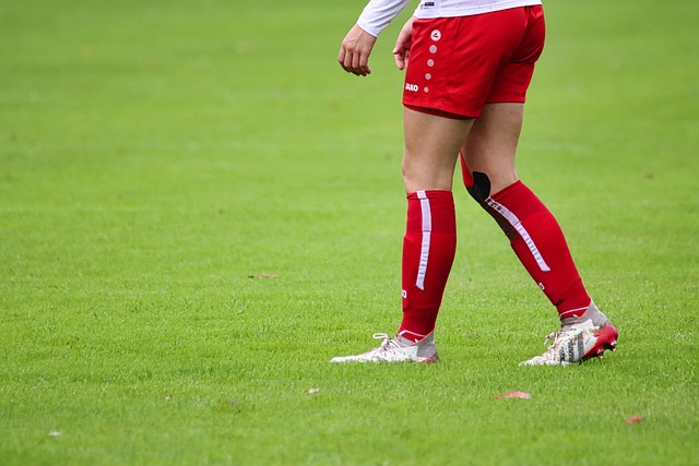 阵容保持不 阵容保持不